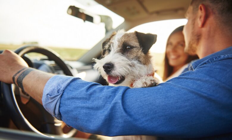 vacanza romantica con cane